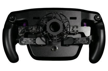 P1 SIM - Eau Rouge Apex